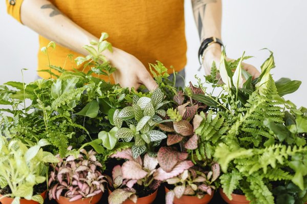 Actualités business : tendances clés pour 2024 à explorer